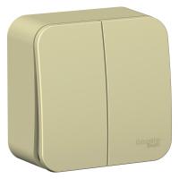 Выключатель двухклавишный Systeme Electric (ранее Schneider Electric) BLANCA (открытой установки, цвет бежевый) с изолирующей пластиковой пластиной предназначен для сетей до 250 В, на ток до 10 А.
-Корпус изделия выполнен из ABS-пластика.
- Четкая маркиро